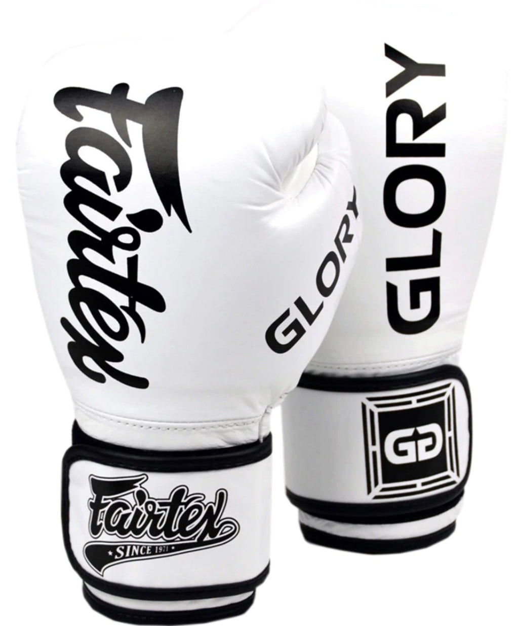 泰拳拳套 Thai Boxing Gloves : Fairtex Boxing Gloves BGVG1 "GLORY White“