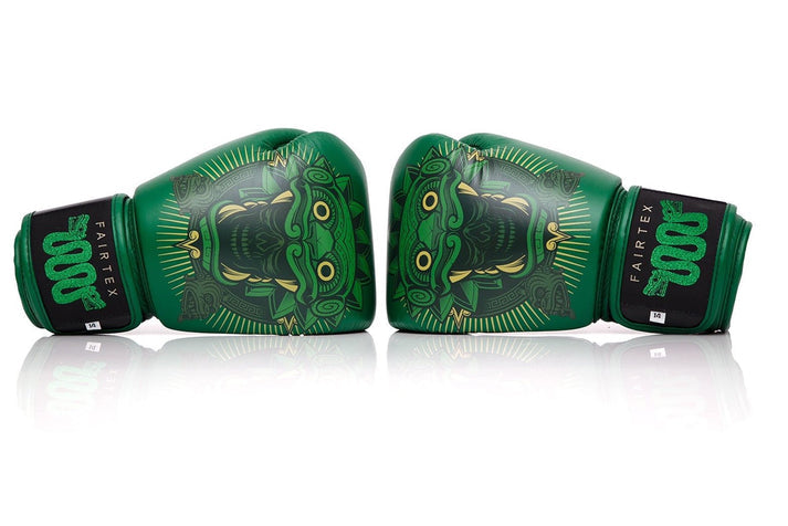 泰拳拳套 Thai Boxing Gloves : Fairtex Boxing BGV Premium Resurrection